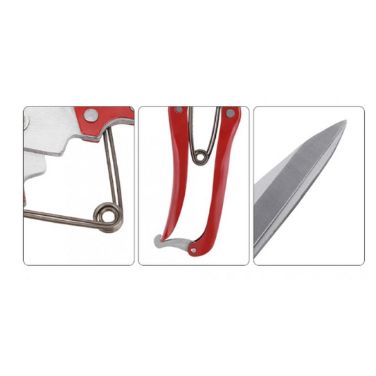 Foarfeca multifunctionala trandafiri animale caini oi, Garantie 36 luni